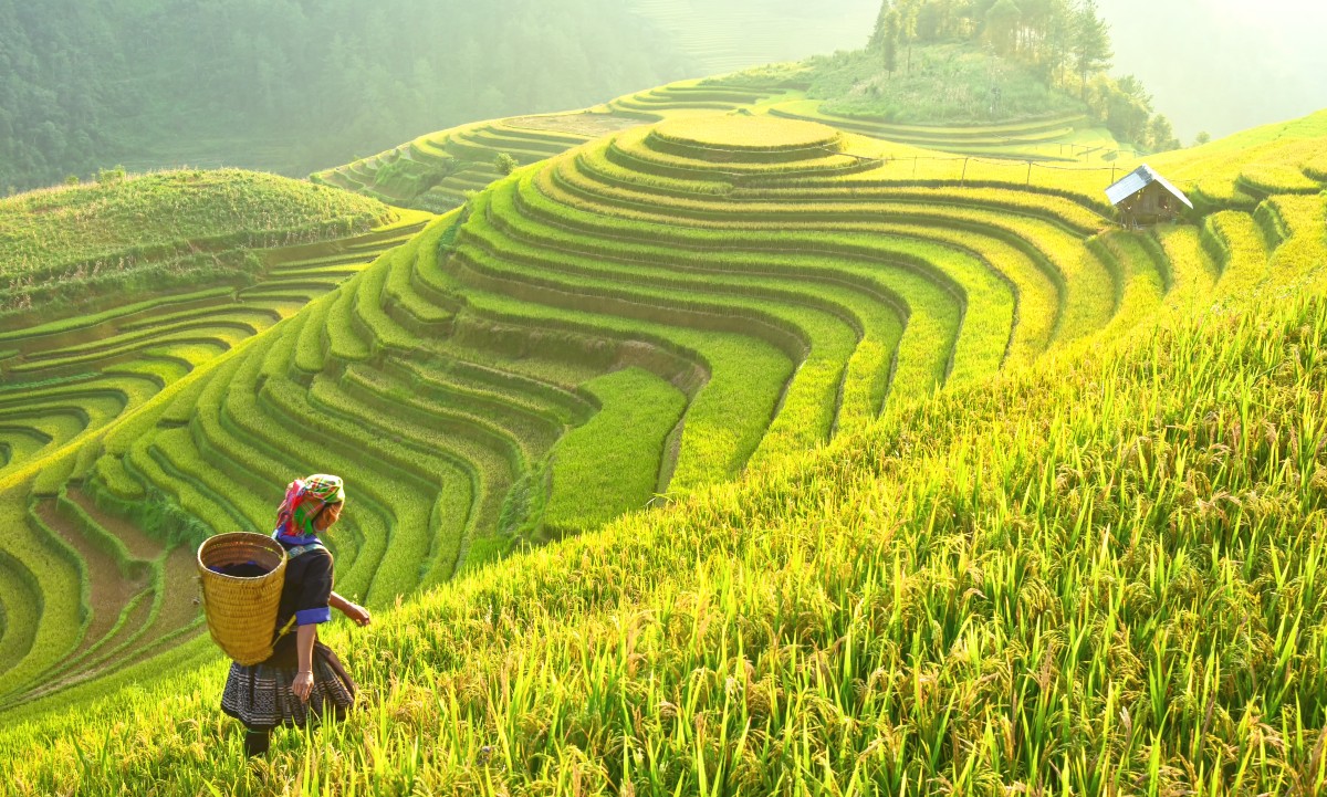 Combien coûte un voyage au Vietnam en 2026 ? Le guide complet pour prévoir votre budget